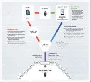 Figure 2: Litmus Health Technology Workflow